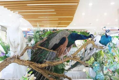 郑州公司吃瓜娱乐,吃瓜娱乐背后的职场生态探秘  第2张